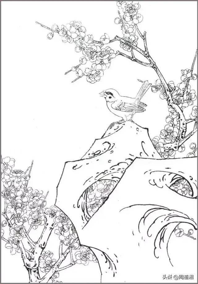 花鸟构图有讲究,看看梅花配石头 书画知识 第4张-墨韵书香 花鸟构图有讲究,看看梅花配石头 书画知识 第4张