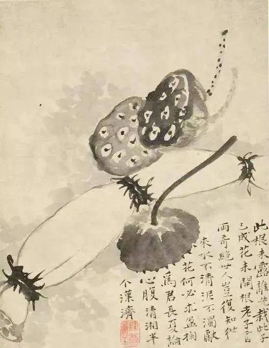 大师画莲藕，味道各不同 书画知识 第4张