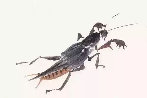 写意鱼虫画法，易学易懂 书画知识 第11张