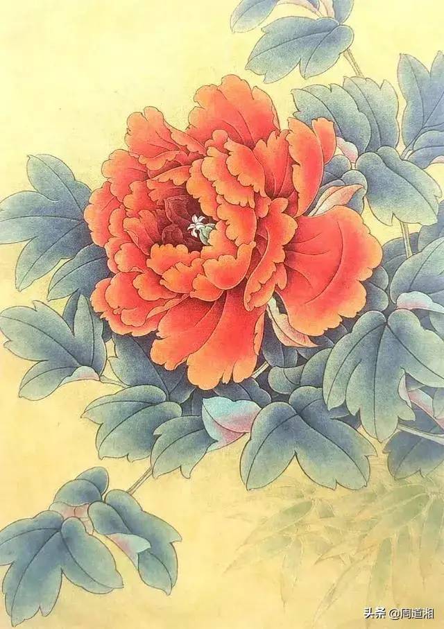 工笔牡丹状元红的设色示范步骤 书画知识 第4张