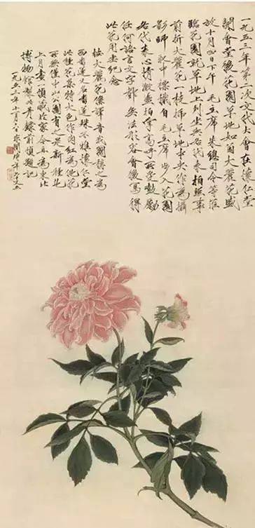 最适合入画的“十大吉祥植物” 书画知识 第92张
