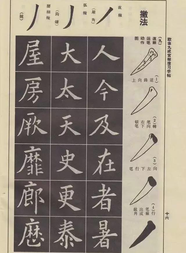 欧体笔法动态图详解，非常实用！ 书画知识 第8张