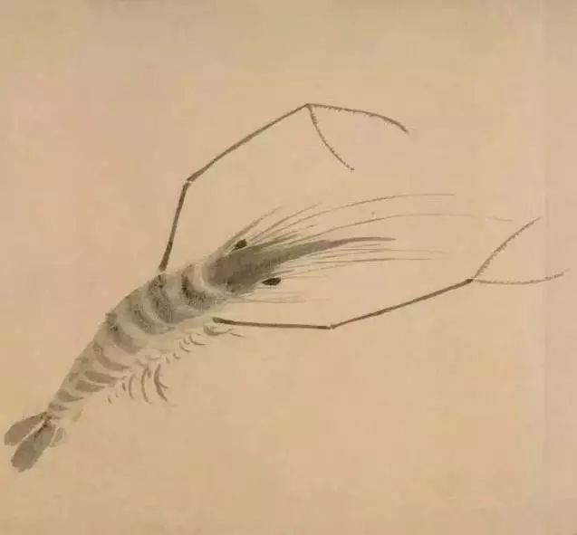 简约之美,方显中国画精髓! 书画知识 第20张-墨韵书香 简约之美,方显中国画精髓! 书画知识 第20张