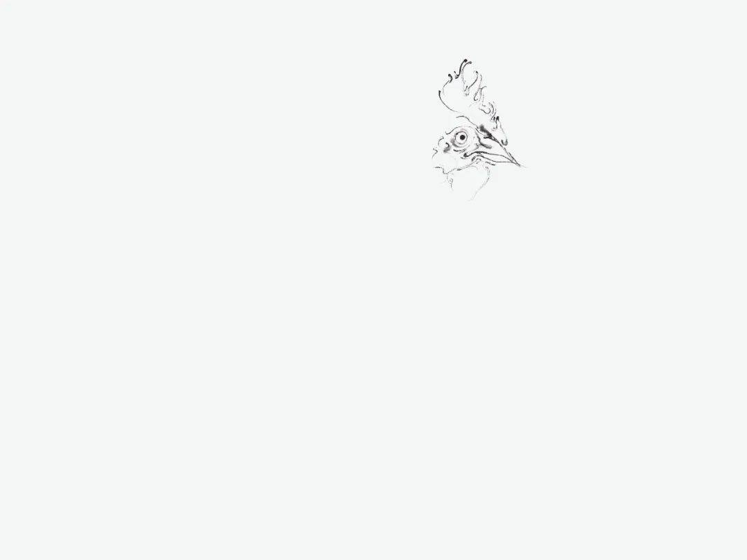 写意花鸟技法探索：鸡的画法 书画知识 第19张