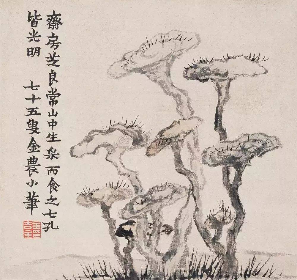 最适合入画的“十大吉祥植物” 书画知识 第78张