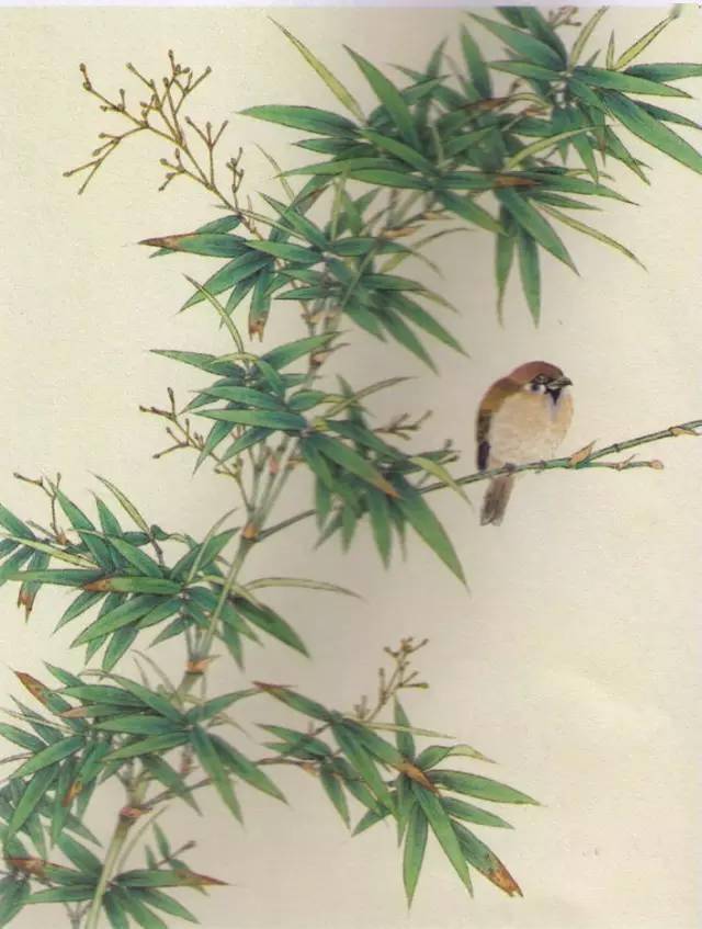 “四君子”梅兰竹菊画法，实用收藏！ 书画知识 第26张