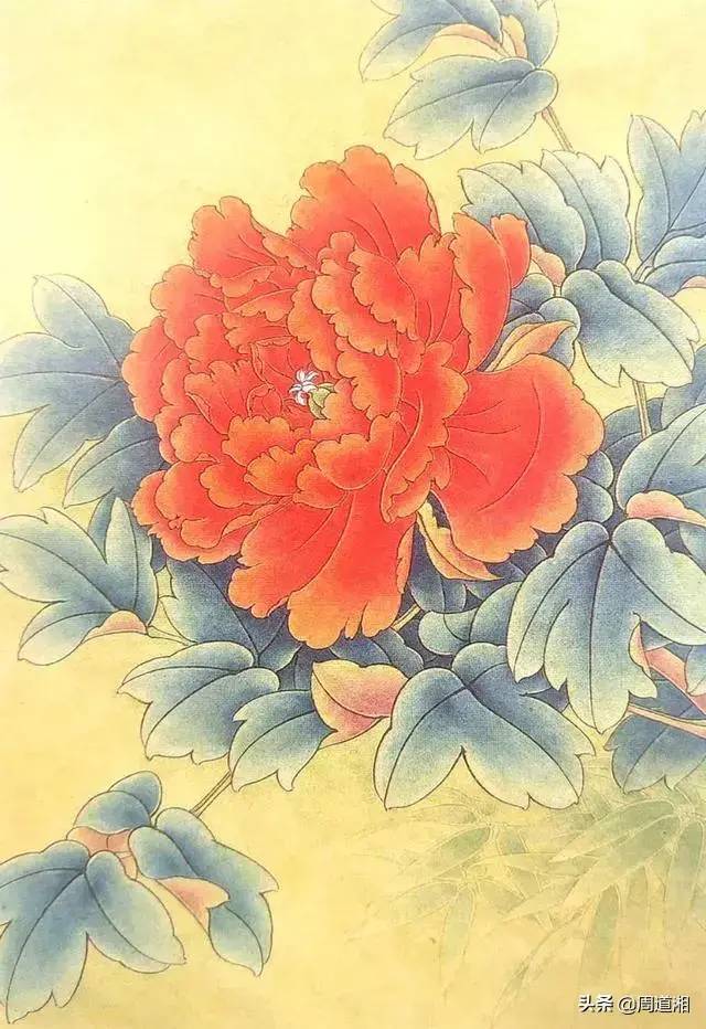 工笔牡丹状元红的设色示范步骤 书画知识 第3张