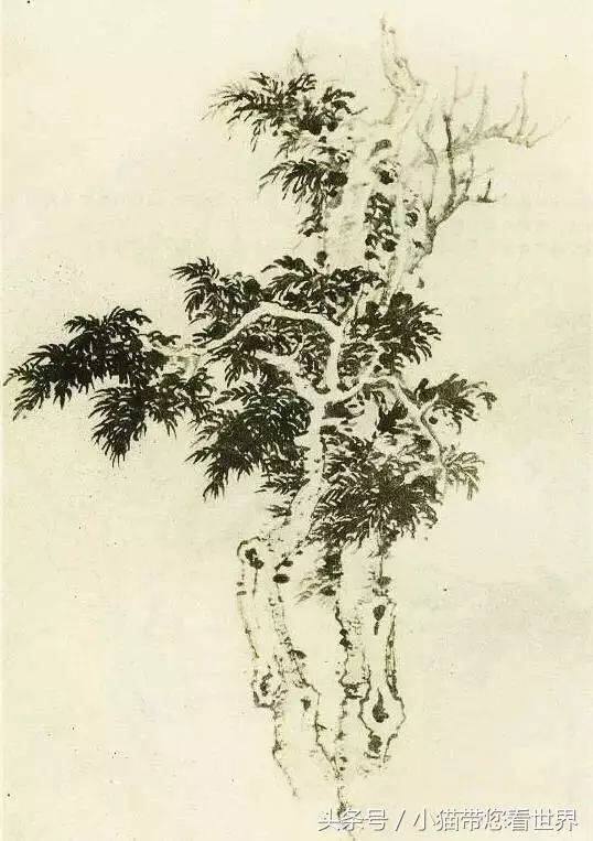 山水画中柏树杨与柳的画法 书画知识 第2张