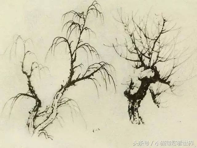 山水画中柏树杨与柳的画法 书画知识 第5张
