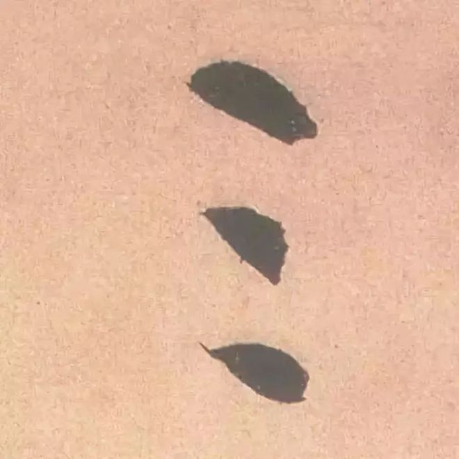 临帖最痛苦的一个方法，也是最有效的 书画知识 第20张