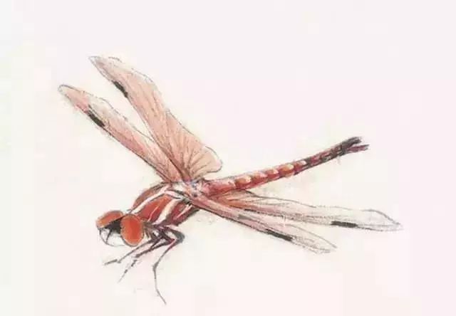 写意鱼虫画法，易学易懂 书画知识 第13张