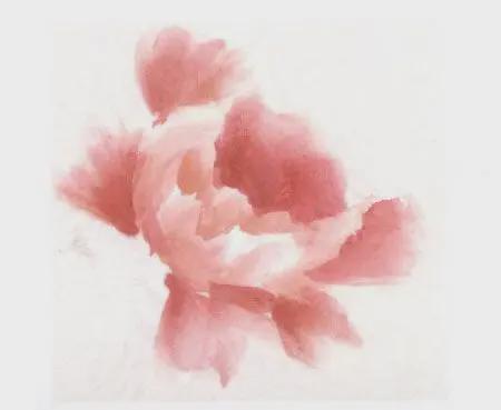 粉色牡丹花画法步骤解析 书画知识 第2张