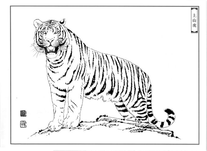 写意老虎的画法讲解及名画欣赏 书画知识 第10张