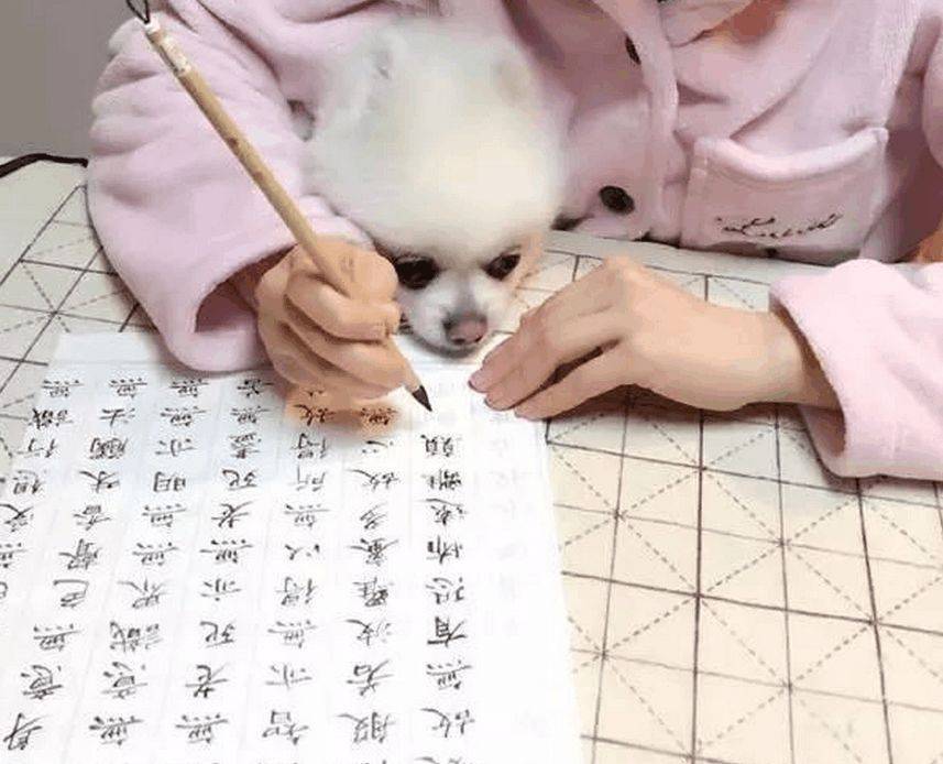 多写字，原来有这么多好处！ 书画知识 第2张