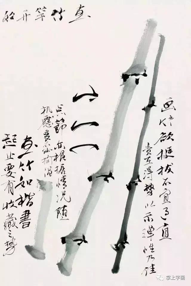 画竹还需掌握好这三点！ 书画知识 第9张