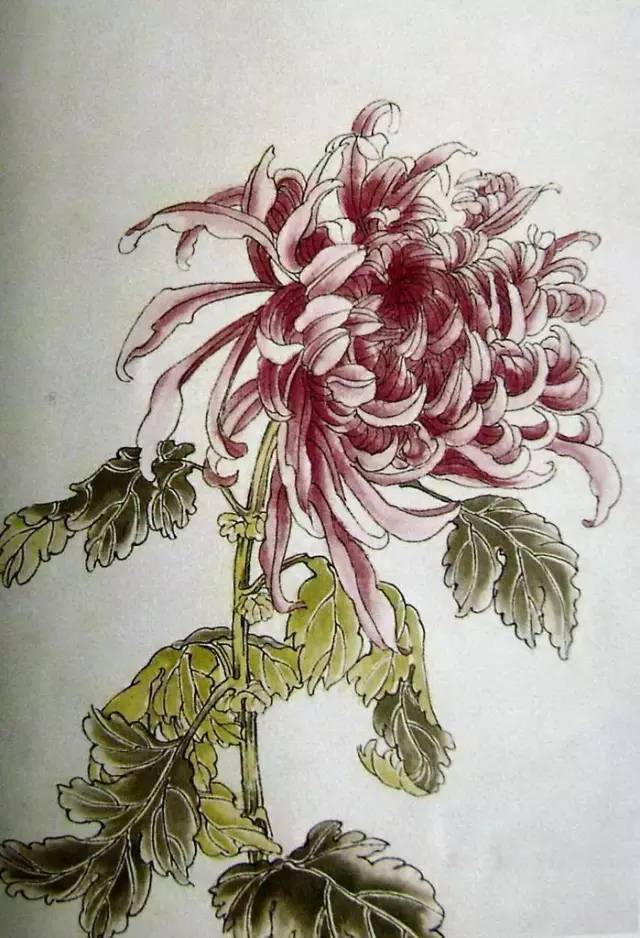 “四君子”梅兰竹菊画法，实用收藏！ 书画知识 第34张