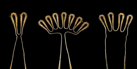 折股钗——圆润饱满的自然过渡 书画知识 第3张