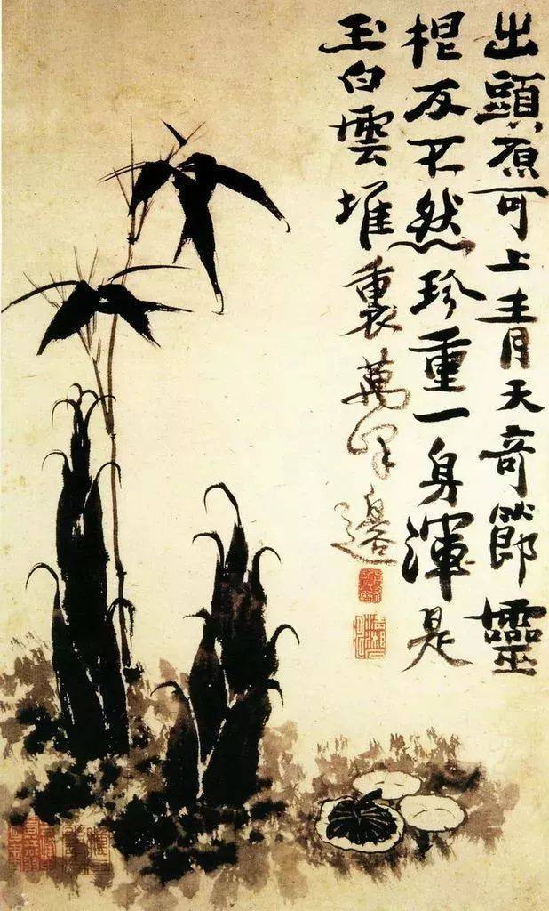 最适合入画的“十大吉祥植物” 书画知识 第21张
