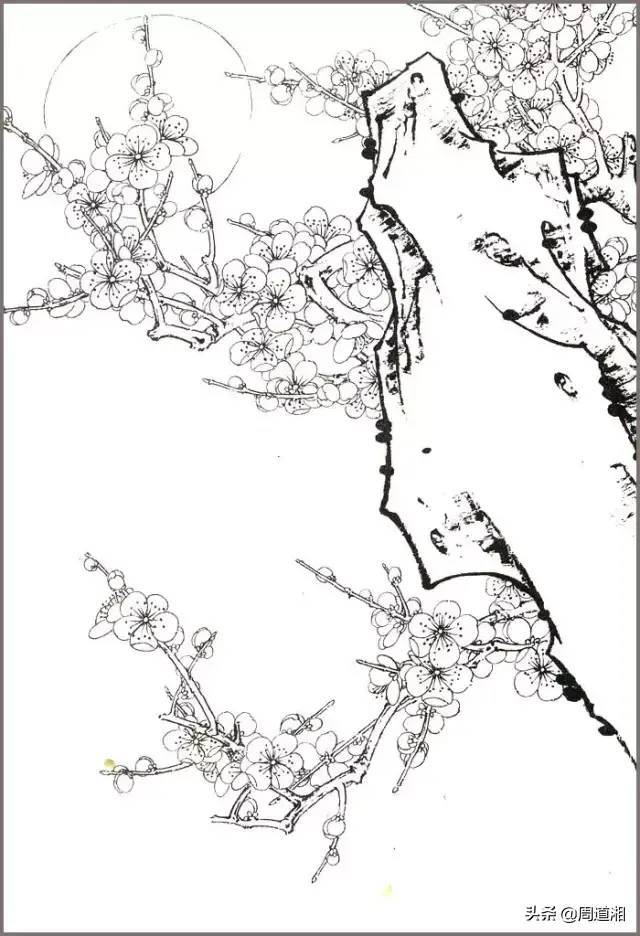 花鸟构图有讲究,看看梅花配石头 书画知识 第6张-墨韵书香 花鸟构图有讲究,看看梅花配石头 书画知识 第6张