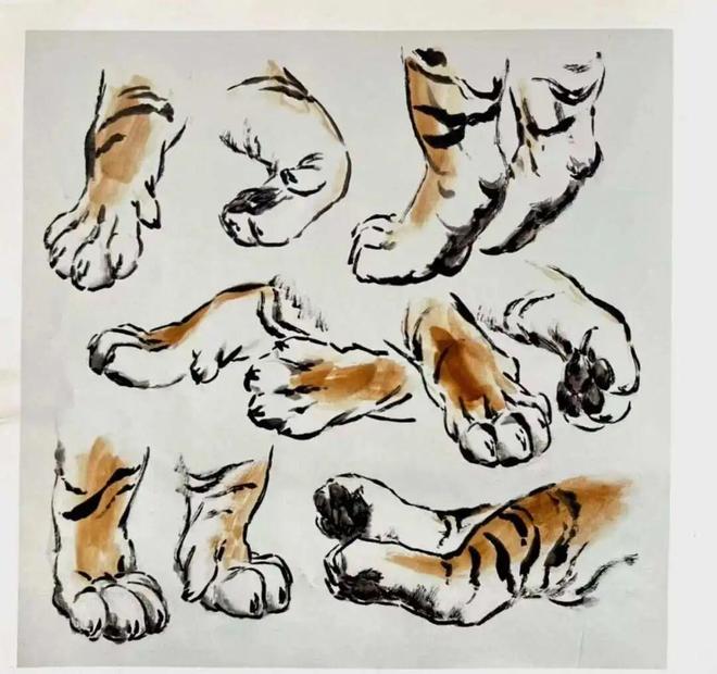 写意老虎的画法讲解及名画欣赏 书画知识 第3张