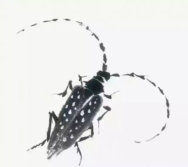 写意鱼虫画法，易学易懂 书画知识 第15张