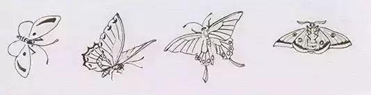 写意鱼虫画法，易学易懂 书画知识 第19张