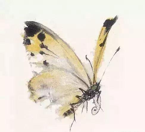 写意鱼虫画法，易学易懂 书画知识 第23张