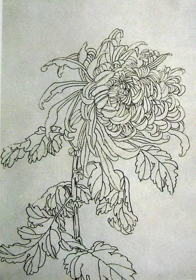 “四君子”梅兰竹菊画法，实用收藏！ 书画知识 第32张