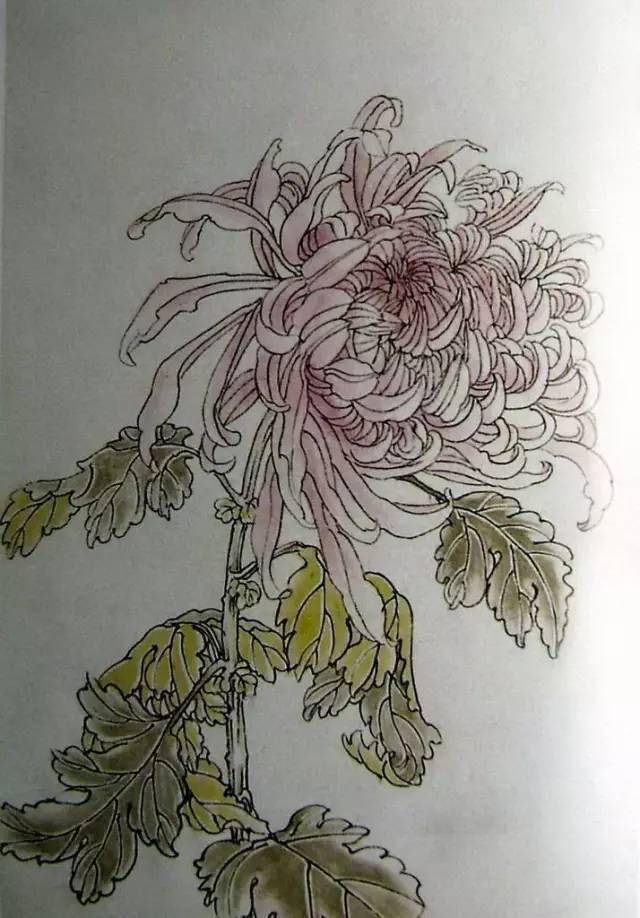 “四君子”梅兰竹菊画法，实用收藏！ 书画知识 第33张