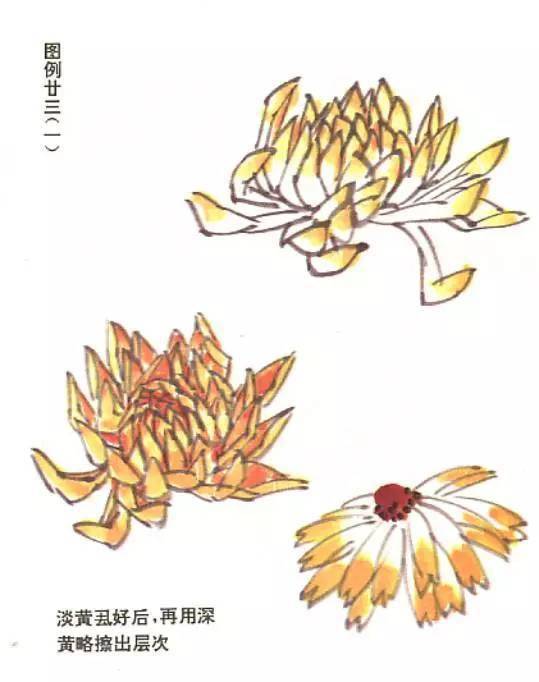 “四君子”梅兰竹菊画法，实用收藏！ 书画知识 第43张