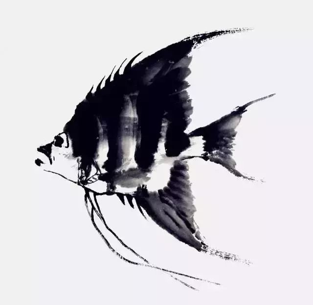 写意鱼虫画法，易学易懂 书画知识 第3张