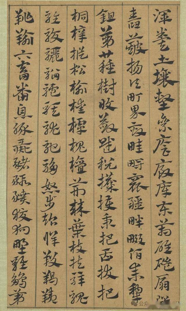 邀您领略章草的魅力 书画知识 第14张
