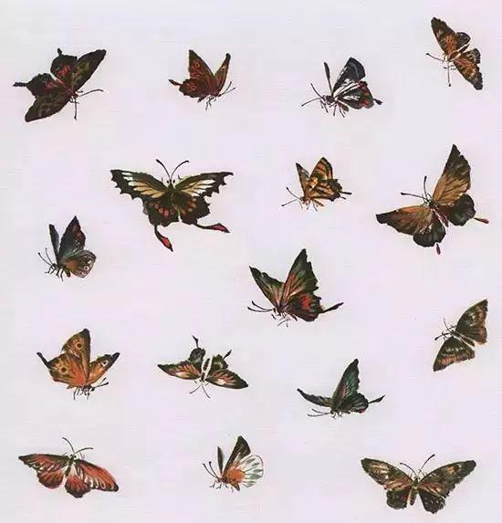 写意鱼虫画法，易学易懂 书画知识 第27张