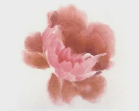 粉色牡丹花画法步骤解析 书画知识 第3张