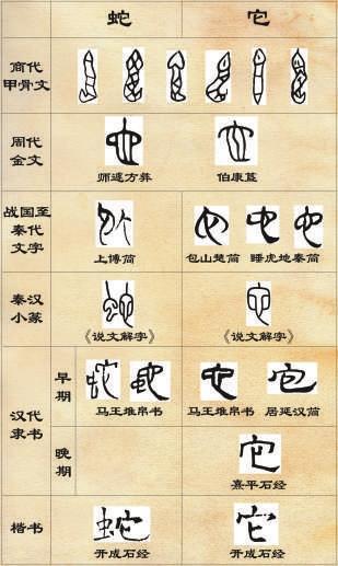 篆隶楷草显蛇韵 书画知识 第3张