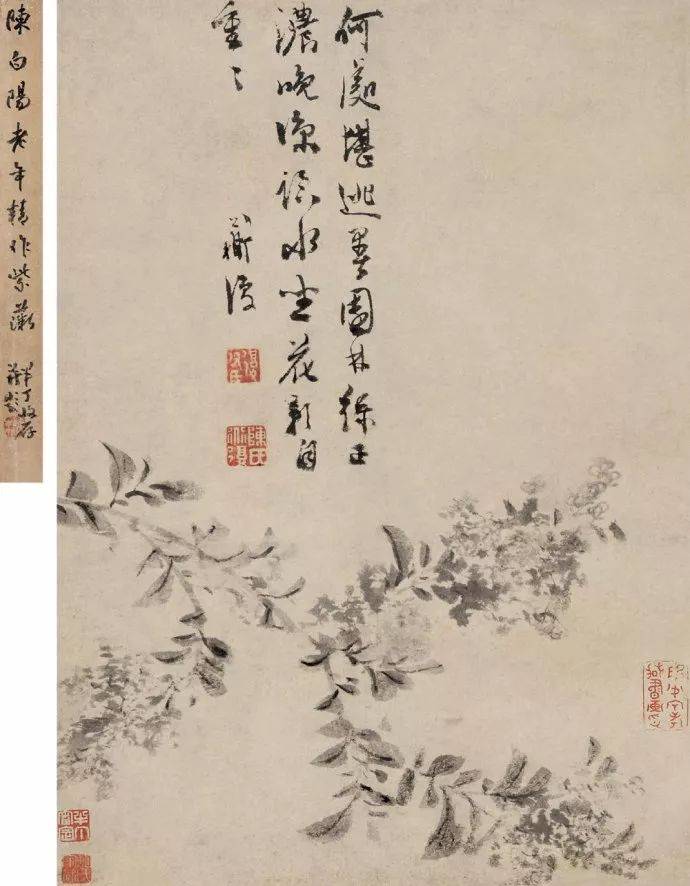 历代画家为什么很少画紫薇花 书画知识 第1张