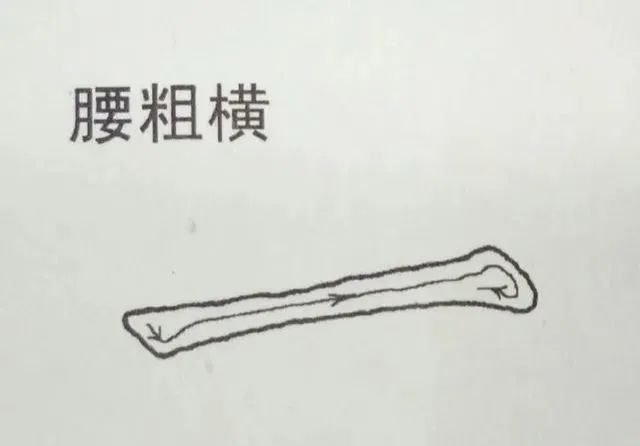 初学书法，弄懂起笔和收笔这两大基本功很重要! 书画知识 第15张