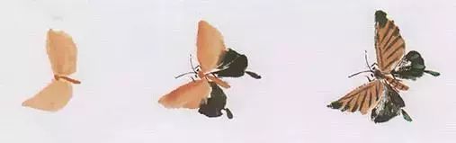 写意鱼虫画法，易学易懂 书画知识 第26张