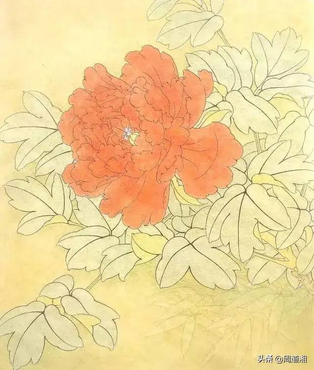工笔牡丹状元红的设色示范步骤 书画知识 第2张