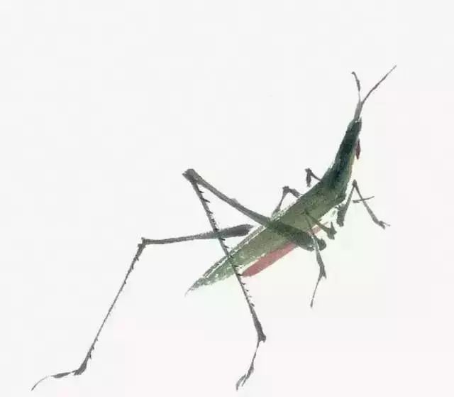 写意鱼虫画法，易学易懂 书画知识 第17张