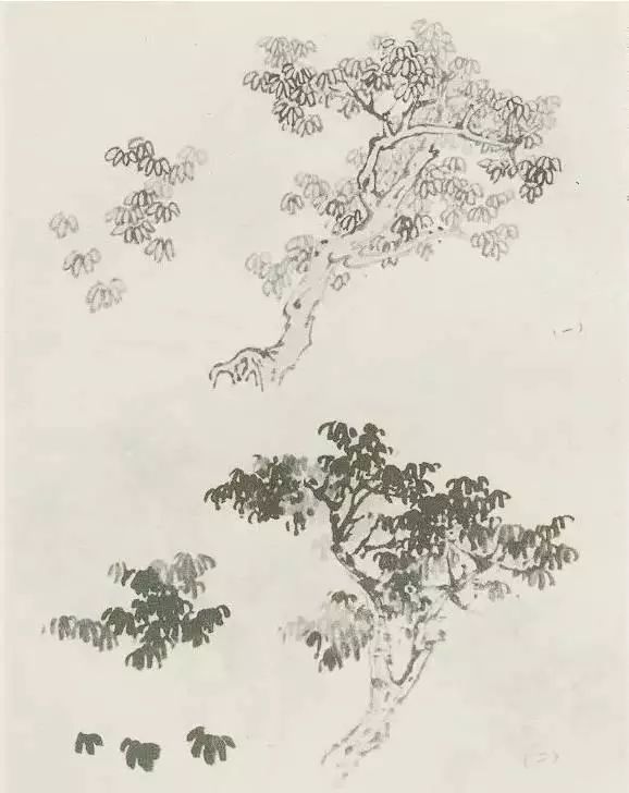 国画中所有树的详细画法解析 书画知识 第13张