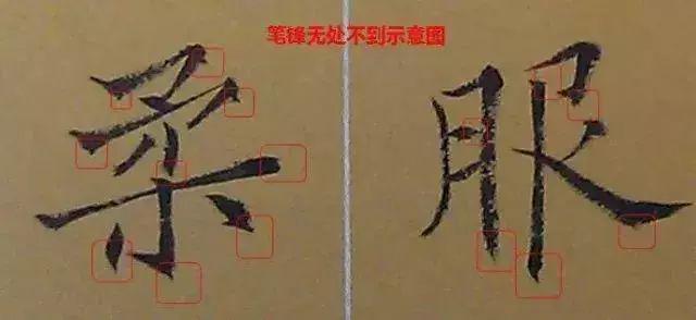 书法，如何令笔锋立起来？ 书画知识 第14张