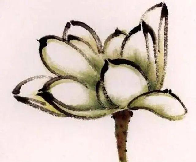 夏天学画写意荷花，送你简易画法！ 书画知识 第13张