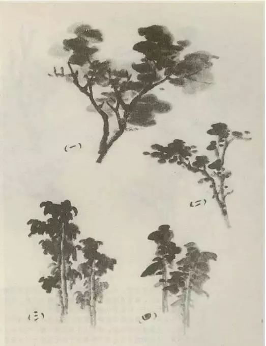 国画中所有树的详细画法解析 书画知识 第14张