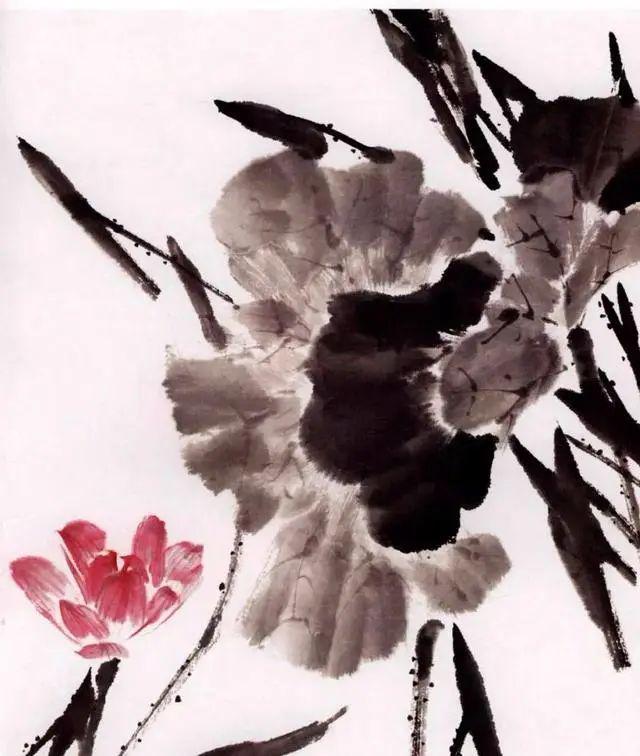 夏天学画写意荷花，送你简易画法！ 书画知识 第21张