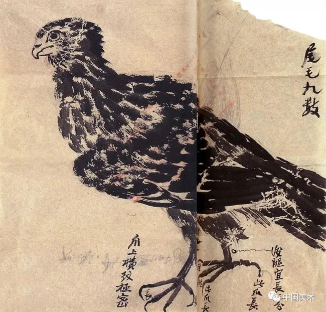 中国画写生的四种方法 书画知识 第19张