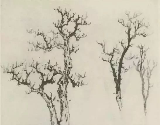 国画中所有树的详细画法解析 书画知识 第8张