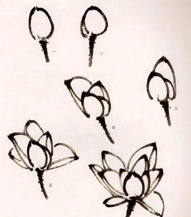 夏天学画写意荷花，送你简易画法！ 书画知识 第6张