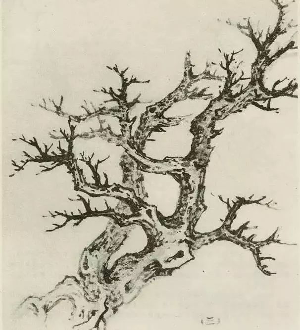 国画中所有树的详细画法解析 书画知识 第6张
