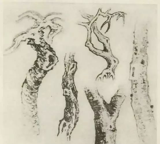 国画中所有树的详细画法解析 书画知识 第3张